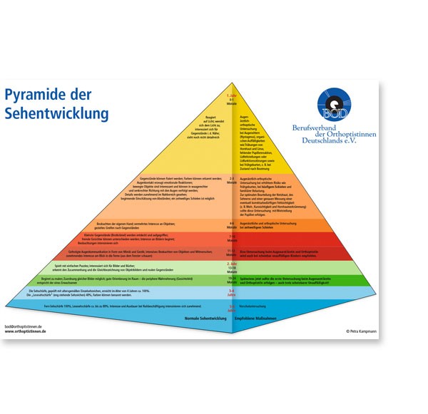 Poster „Pyramide der Sehentwicklung“